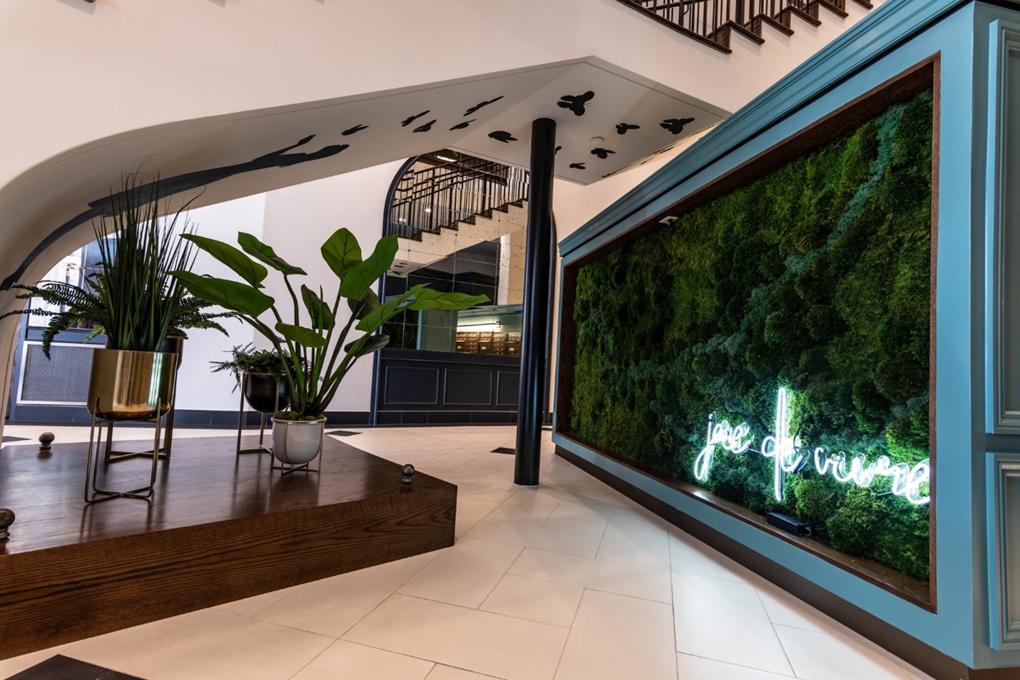 Gallery image with a fresh perspective